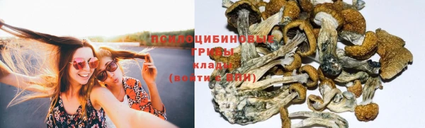 прущие крисы Володарск